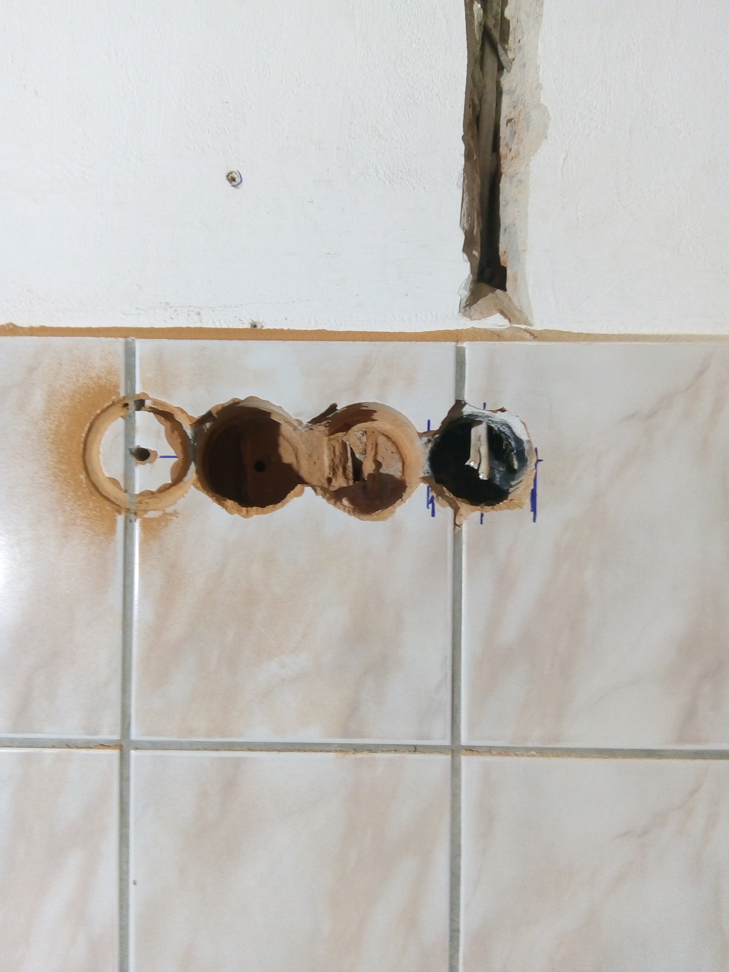 Bénye dugalj projekt - IMG_20231030_144436